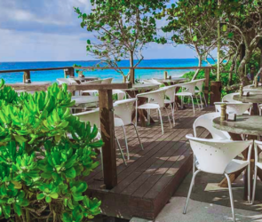 Best Restaurants in Tulum